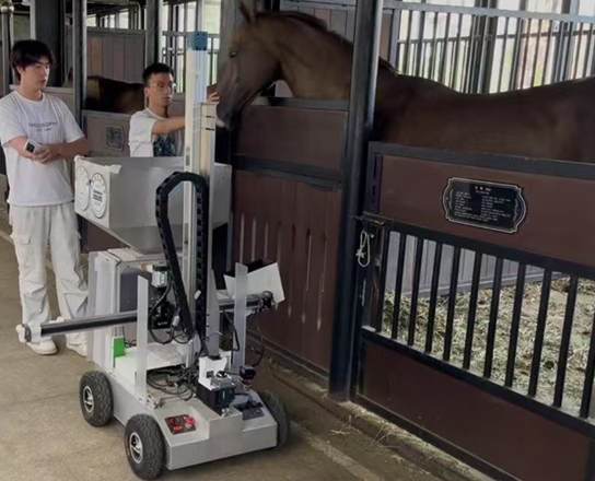 圖片關(guān)鍵詞