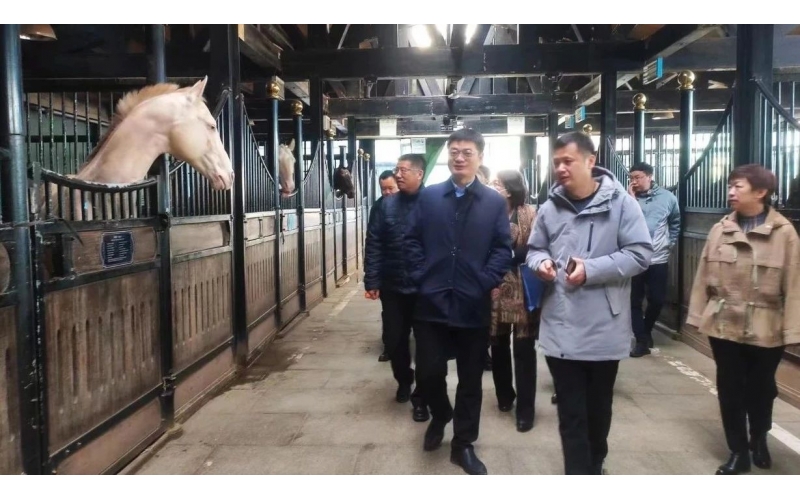 高雷副廳長在野馬集團(tuán)調(diào)研時(shí)表示，要通過科技助力，精準(zhǔn)解決“卡脖子”問題