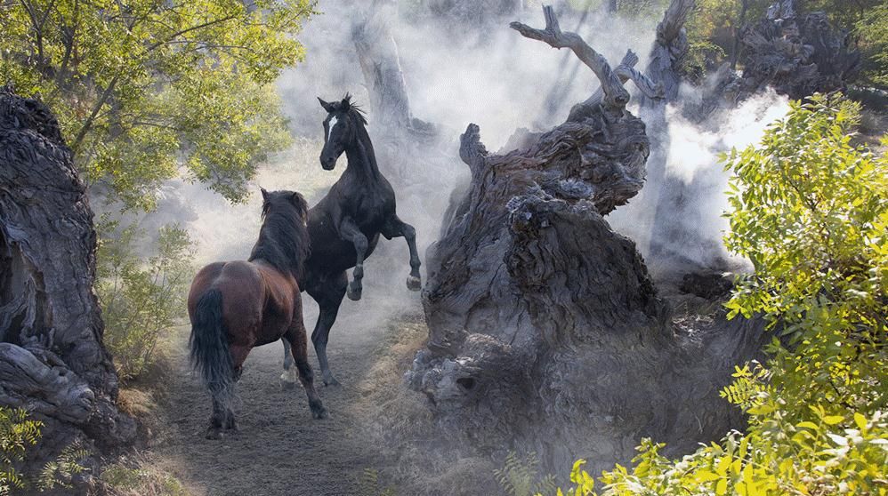 圖片關(guān)鍵詞